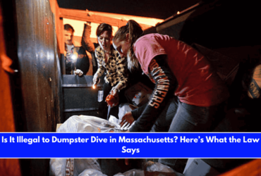 Is It Illegal to Dumpster Dive in Massachusetts Here’s What the Law Says