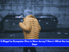 Is It Illegal to Dumpster Dive in New Jersey Here’s What the Law Says