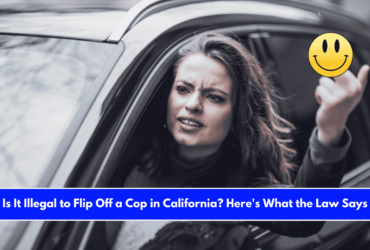 Is It Illegal to Flip Off a Cop in California Here's What the Law Says