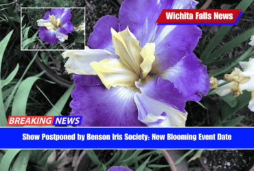 Show Postponed by Benson Iris Society New Blooming Event Date