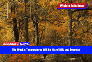 This Week's Temperatures Will Be Mix of Mild and Seasonal