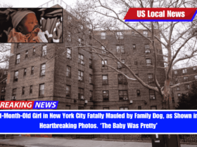 1-Month-Old Girl in New York City Fatally Mauled by Family Dog, as Shown in Heartbreaking Photos. ‘The Baby Was Pretty’