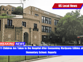 11 Children Are Taken to the Hospital After Consuming Marijuana Edibles at Elementary School Reports