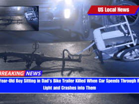 4-Year-Old Boy Sitting in Dad's Bike Trailer Killed When Car Speeds Through Red Light and Crashes into Them