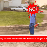 Blowing Leaves and Grass Into Streets Is Illegal in Texas