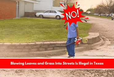 Blowing Leaves and Grass Into Streets Is Illegal in Texas