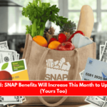 Confirmed SNAP Benefits Will Increase This Month to Up to $1,756 (Yours Too)