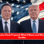 DOGE Stimulus Check Proposal What It Means and Why It's Facing Hurdles