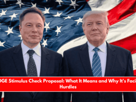 DOGE Stimulus Check Proposal What It Means and Why It's Facing Hurdles