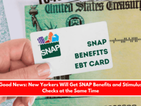 Good News New Yorkers Will Get SNAP Benefits and Stimulus Checks at the Same Time