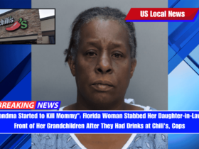 Grandma Started to Kill Mommy Florida Woman Stabbed Her Daughter-in-Law in Front of Her Grandchildren After They Had Drinks at Chili's, Cops
