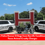 Haughton Police Rescue 13 Dogs from Horrific Conditions; Owner Faces Animal Cruelty Charges
