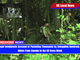 Illegal Immigrants Accused of Pocketing Thousands by Smuggling Hundreds of Aliens From Canada to the US Every Week