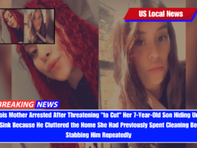 Illinois Mother Arrested After Threatening to Cut Her 7-Year-Old Son Hiding Under the Sink Because He Cluttered the Home She Had Previously Spent Cleaning Before Stabbing Him Repeatedly