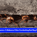 Insect Invasion 5 Alabama Cities Combatting Bed Bug Onslaught
