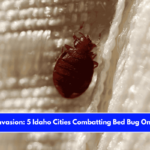 Insect Invasion 5 Idaho Cities Combatting Bed Bug Onslaught