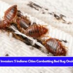 Insect Invasion 5 Indiana Cities Combatting Bed Bug Onslaught