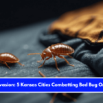Insect Invasion 5 Kansas Cities Combatting Bed Bug Onslaught