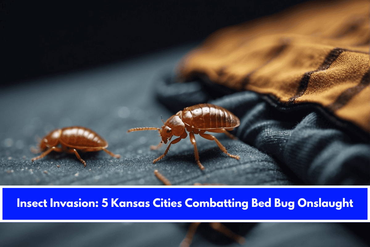 Insect Invasion 5 Kansas Cities Combatting Bed Bug Onslaught