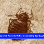 Insect Invasion 5 Kentucky Cities Combatting Bed Bug Onslaught