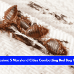 Insect Invasion 5 Maryland Cities Combatting Bed Bug Onslaught