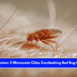 Insect Invasion 5 Minnesota Cities Combatting Bed Bug Onslaught