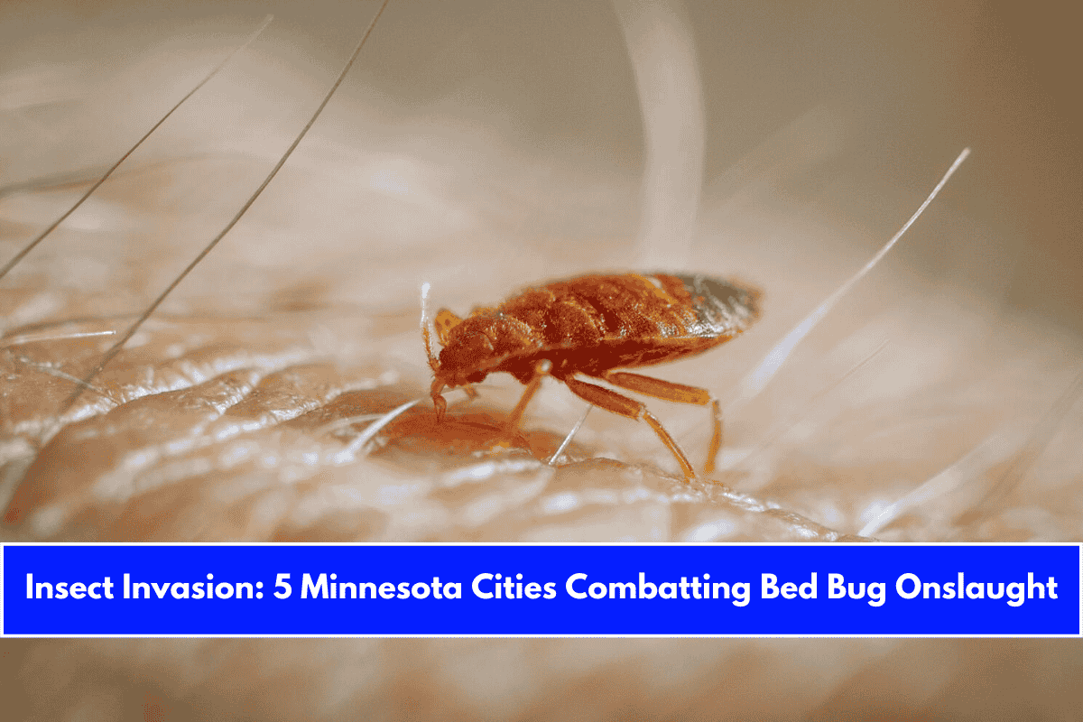 Insect Invasion 5 Minnesota Cities Combatting Bed Bug Onslaught