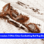 Insect Invasion 5 Ohio Cities Combatting Bed Bug Onslaught