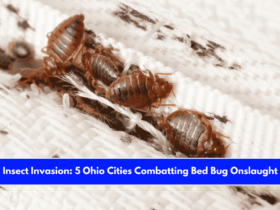 Insect Invasion 5 Ohio Cities Combatting Bed Bug Onslaught