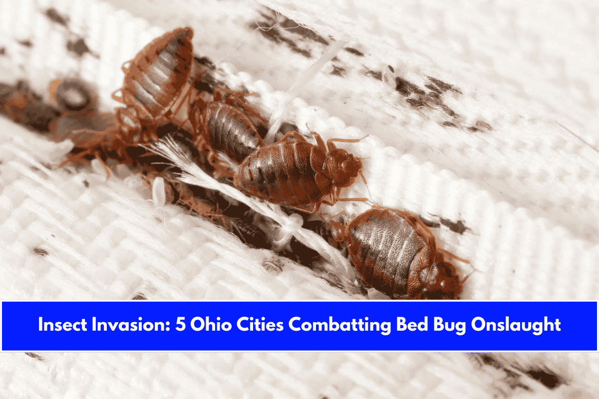 Insect Invasion 5 Ohio Cities Combatting Bed Bug Onslaught