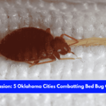 Insect Invasion 5 Oklahoma Cities Combatting Bed Bug Onslaught