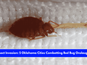 Insect Invasion 5 Oklahoma Cities Combatting Bed Bug Onslaught