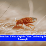 Insect Invasion 5 West Virginia Cities Combatting Bed Bug Onslaught