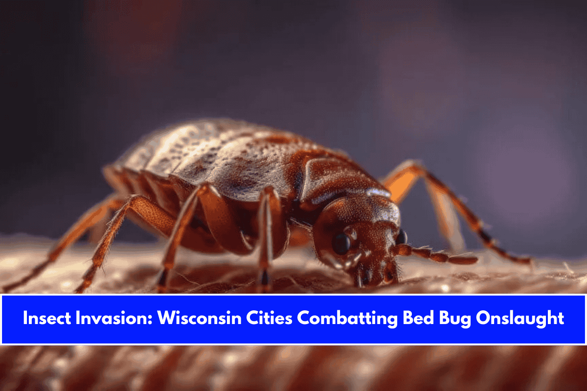 Insect Invasion Wisconsin Cities Combatting Bed Bug Onslaught