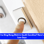 Is It Illegal to Ding Dong Ditch in South Carolina Here’s What the Law Says