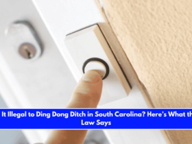 Is It Illegal to Ding Dong Ditch in South Carolina Here’s What the Law Says