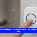 Is It Illegal to Ding Dong Ditch in Tennessee Here’s What the Law Says
