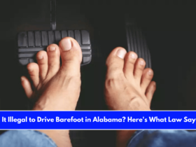 Is It Illegal to Drive Barefoot in Alabama Here's What Law Says!