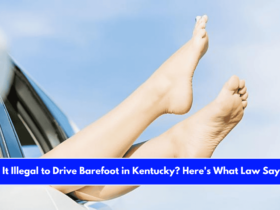 Is It Illegal to Drive Barefoot in Kentucky Here's What Law Says!