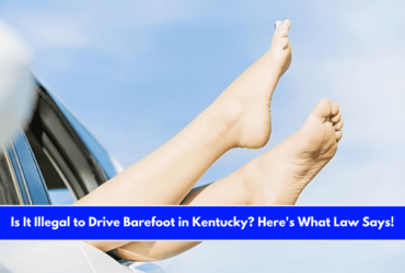 Is It Illegal to Drive Barefoot in Kentucky Here's What Law Says!