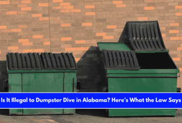 Is It Illegal to Dumpster Dive in Alabama Here’s What the Law Says