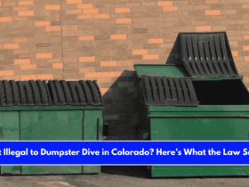 Is It Illegal to Dumpster Dive in Colorado Here’s What the Law Says