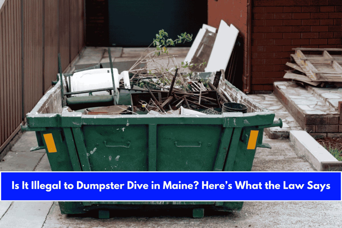 Is It Illegal to Dumpster Dive in Maine Here’s What the Law Says