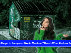 Is It Illegal to Dumpster Dive in Montana Here’s What the Law Says