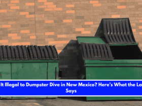 Is It Illegal to Dumpster Dive in New Mexico Here’s What the Law Says