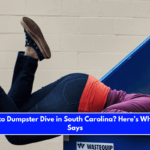 Is It Illegal to Dumpster Dive in South Carolina Here’s What the Law Says