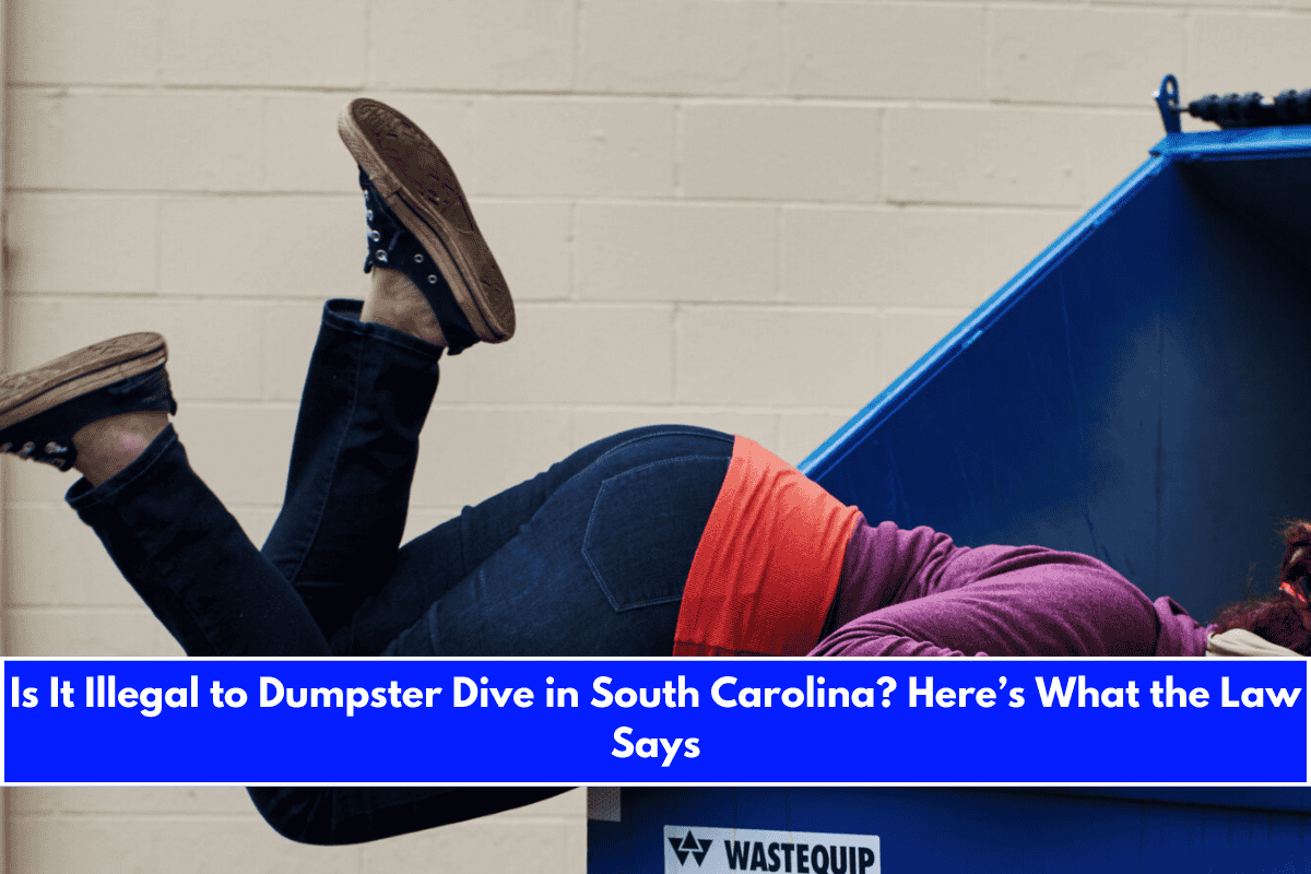 Is It Illegal to Dumpster Dive in South Carolina Here’s What the Law Says