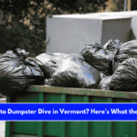 Is It Illegal to Dumpster Dive in Vermont Here’s What the Law Says