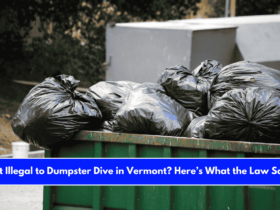 Is It Illegal to Dumpster Dive in Vermont Here’s What the Law Says