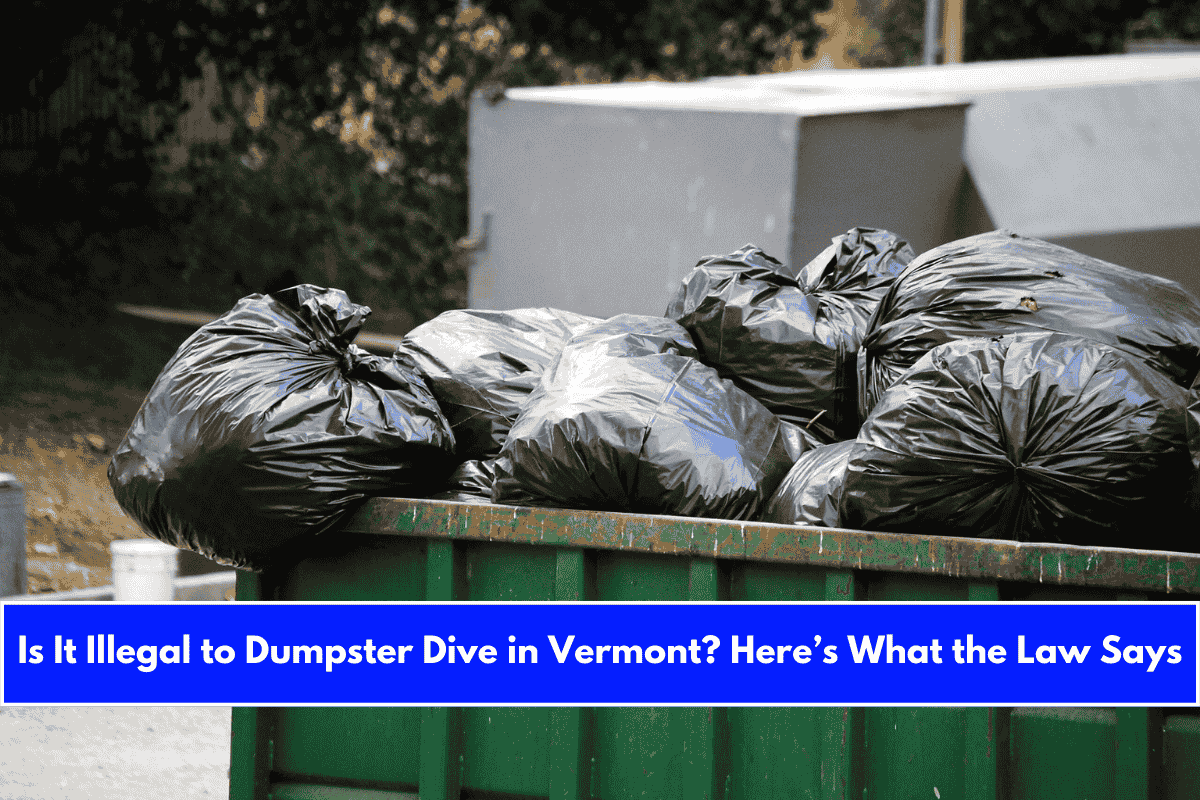 Is It Illegal to Dumpster Dive in Vermont Here’s What the Law Says